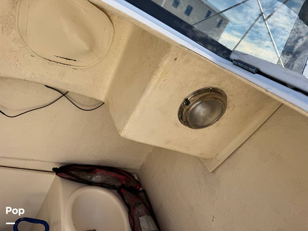 Slide: The Image of Beachcat 230 2019 - 15782386