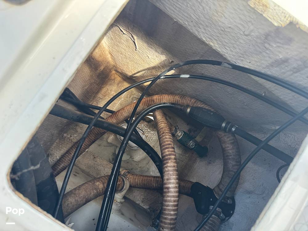 Slide: The Image of Beachcat 230 2019 - 15782413