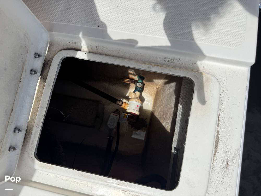 Slide: The Image of Beachcat 230 2019 - 15782417