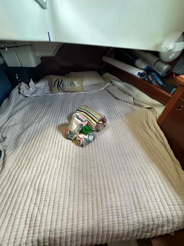 Slide: The Image of Aft Stateroom - 48