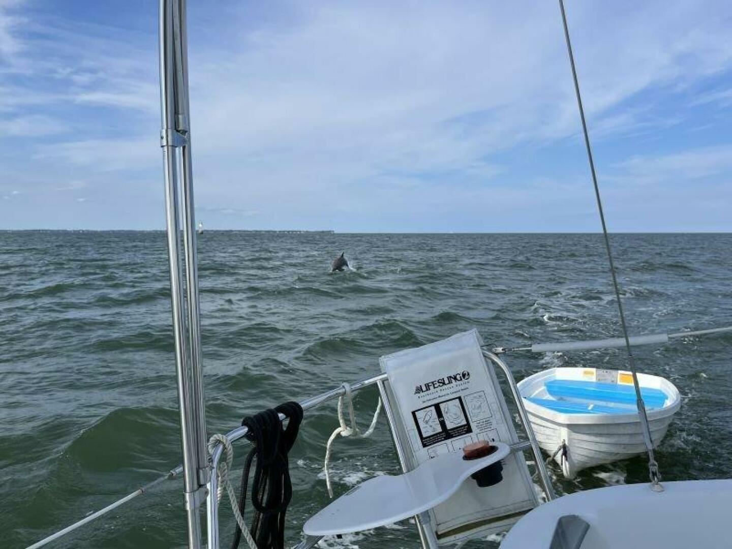 Slide: The Image of 1999 Beneteau Oceanis 321   Tender - 5179589
