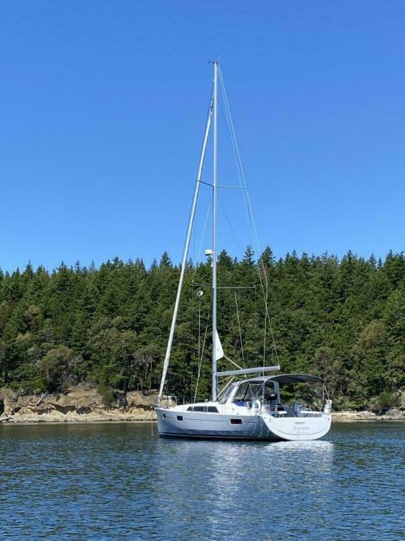 Slide: The Image of Grey Goose at Anchor - 5140949