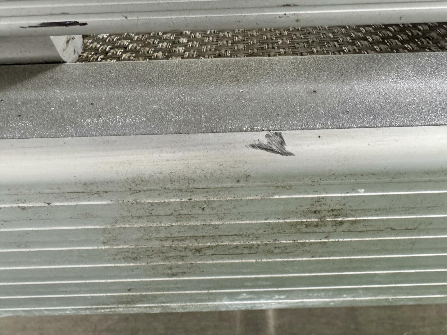 Slide: The Image of Bennington 208 SLJ SPS Tritoon 2024 - 5197844