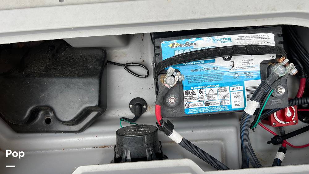 Slide: The Image of Bennington 22 SX Fish 2020 - 15311125