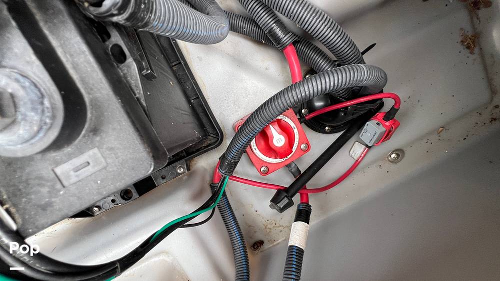 Slide: The Image of Bennington 22 SX Fish 2020 - 15311127