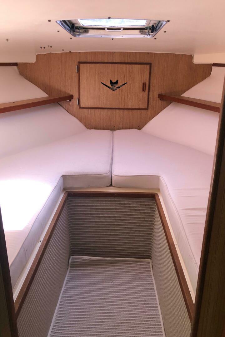 Slide: The Image of Bertram 28 Flybridge Cruiser 1986 - 4910657