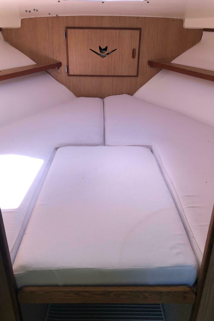Slide: The Image of Bertram 28 Flybridge Cruiser 1986 - 4910658