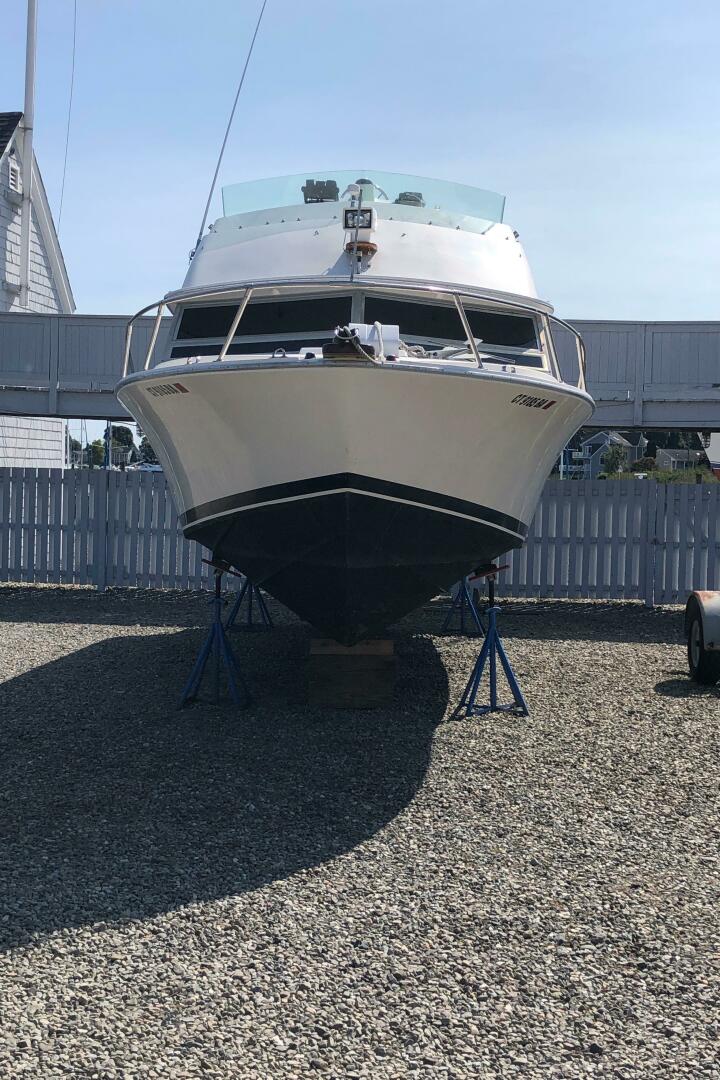 Slide: The Image of Bertram 28 Flybridge Cruiser 1986 - 4910647