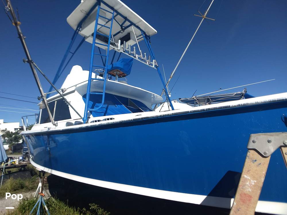 Slide: The Image of Bertram 31 Sportfish 1961 - 8280276