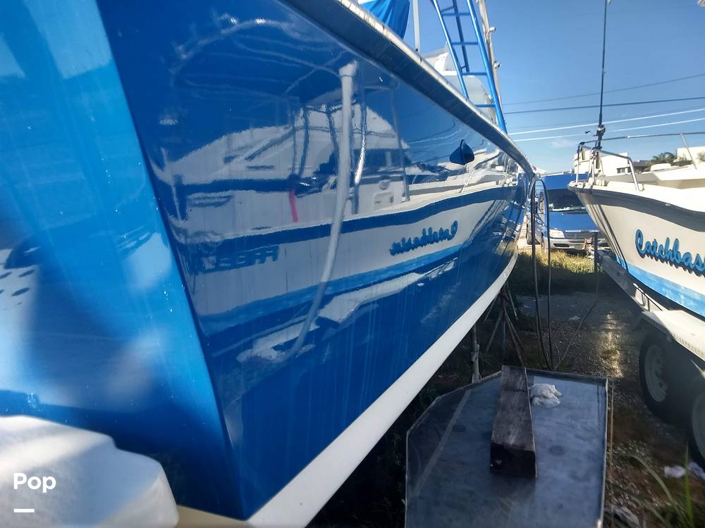Slide: The Image of Bertram 31 Sportfish 1961 - 8280299