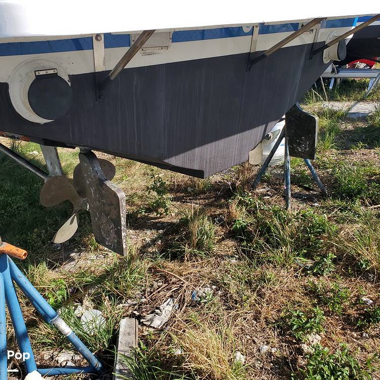 Slide: The Image of Bertram 31 Sportfish 1961 - 7222644