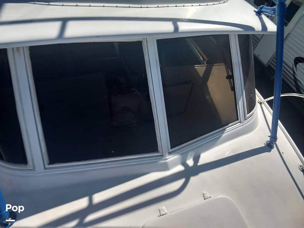 Slide: The Image of Bertram 31 Sportfish 1961 - 8280557