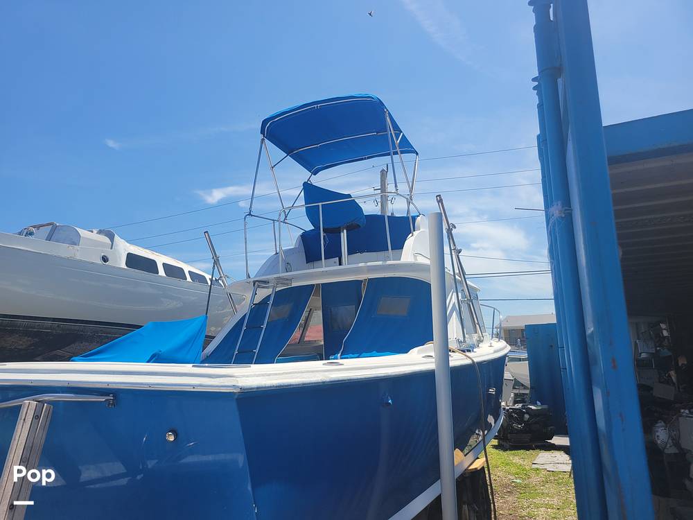 Slide: The Image of Bertram 31 Sportfish 1961 - 14006138
