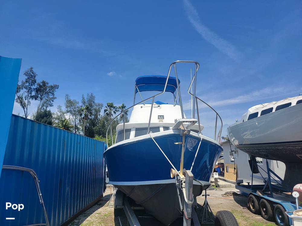 Slide: The Image of Bertram 31 Sportfish 1961 - 14006139