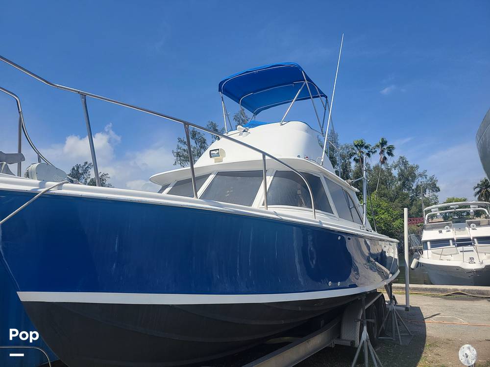 Slide: The Image of Bertram 31 Sportfish 1961 - 14006140