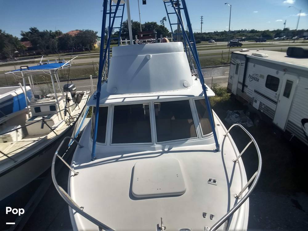 Slide: The Image of Bertram 31 Sportfish 1961 - 8280587