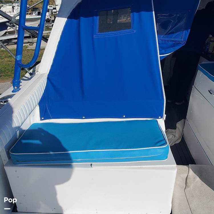 Slide: The Image of Bertram 31 Sportfish 1961 - 7222665