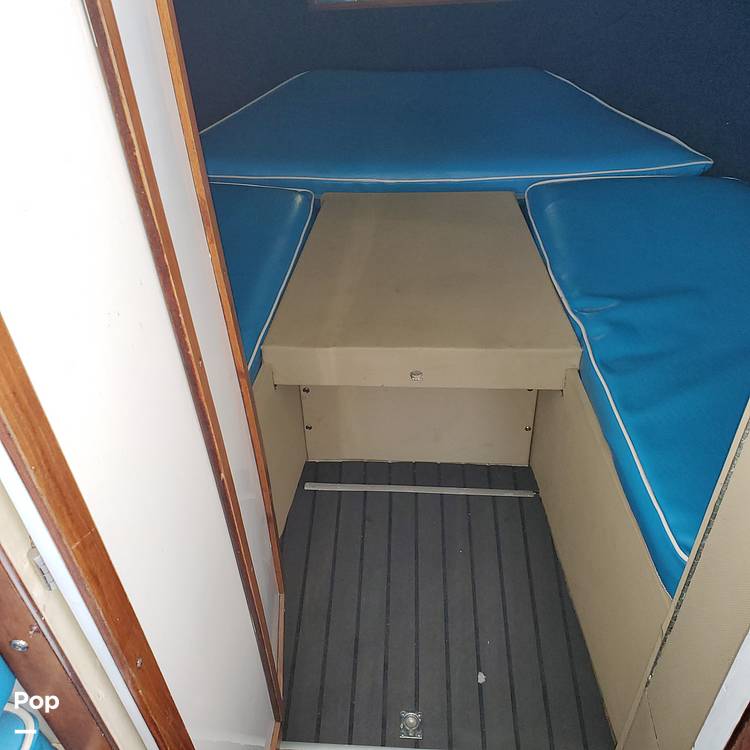 Slide: The Image of Bertram 31 Sportfish 1961 - 7222671
