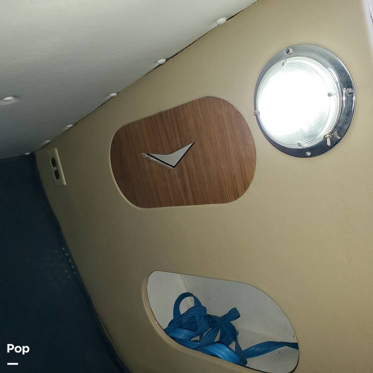 Slide: The Image of Bertram 31 Sportfish 1961 - 7222676