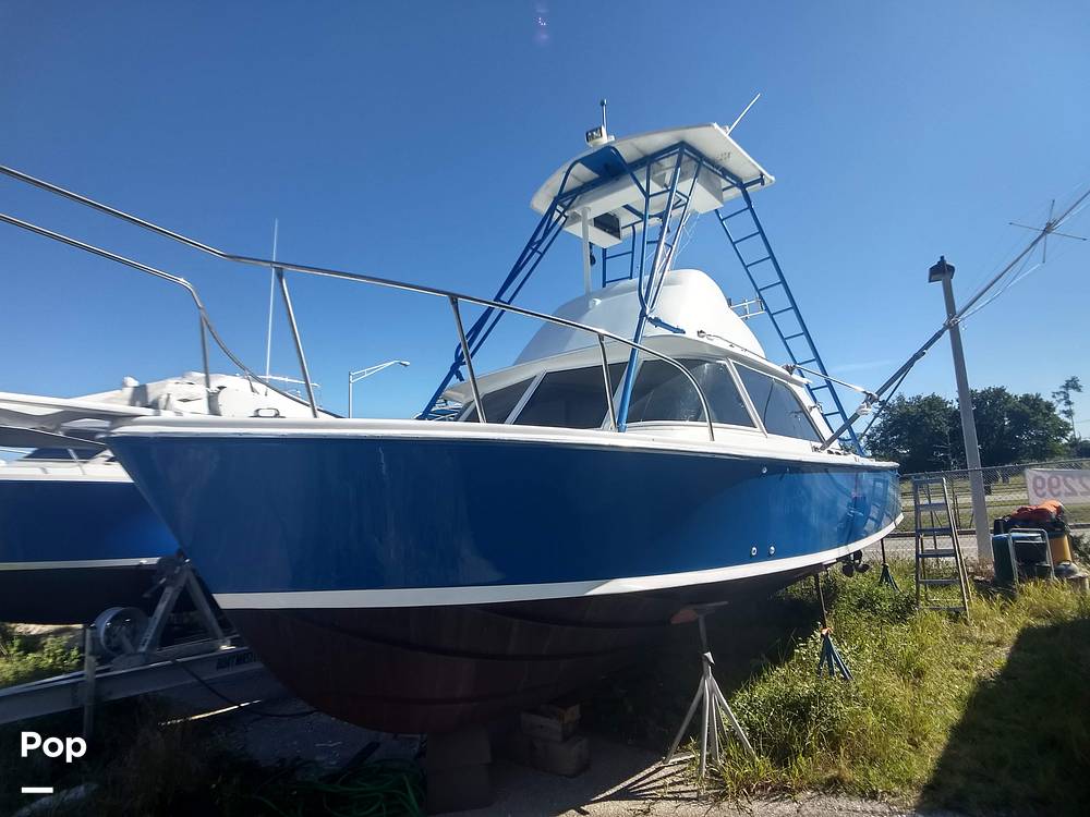 Slide: The Image of Bertram 31 Sportfish 1961 - 8280269
