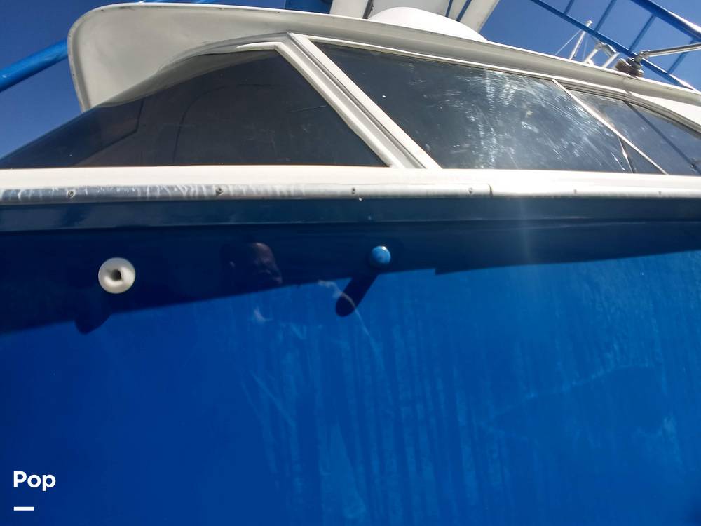 Slide: The Image of Bertram 31 Sportfish 1961 - 8280271