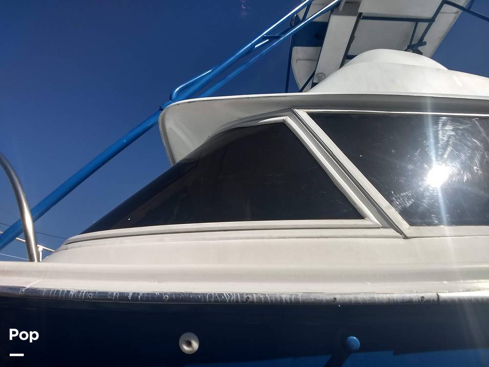 Slide: The Image of Bertram 31 Sportfish 1961 - 8280272