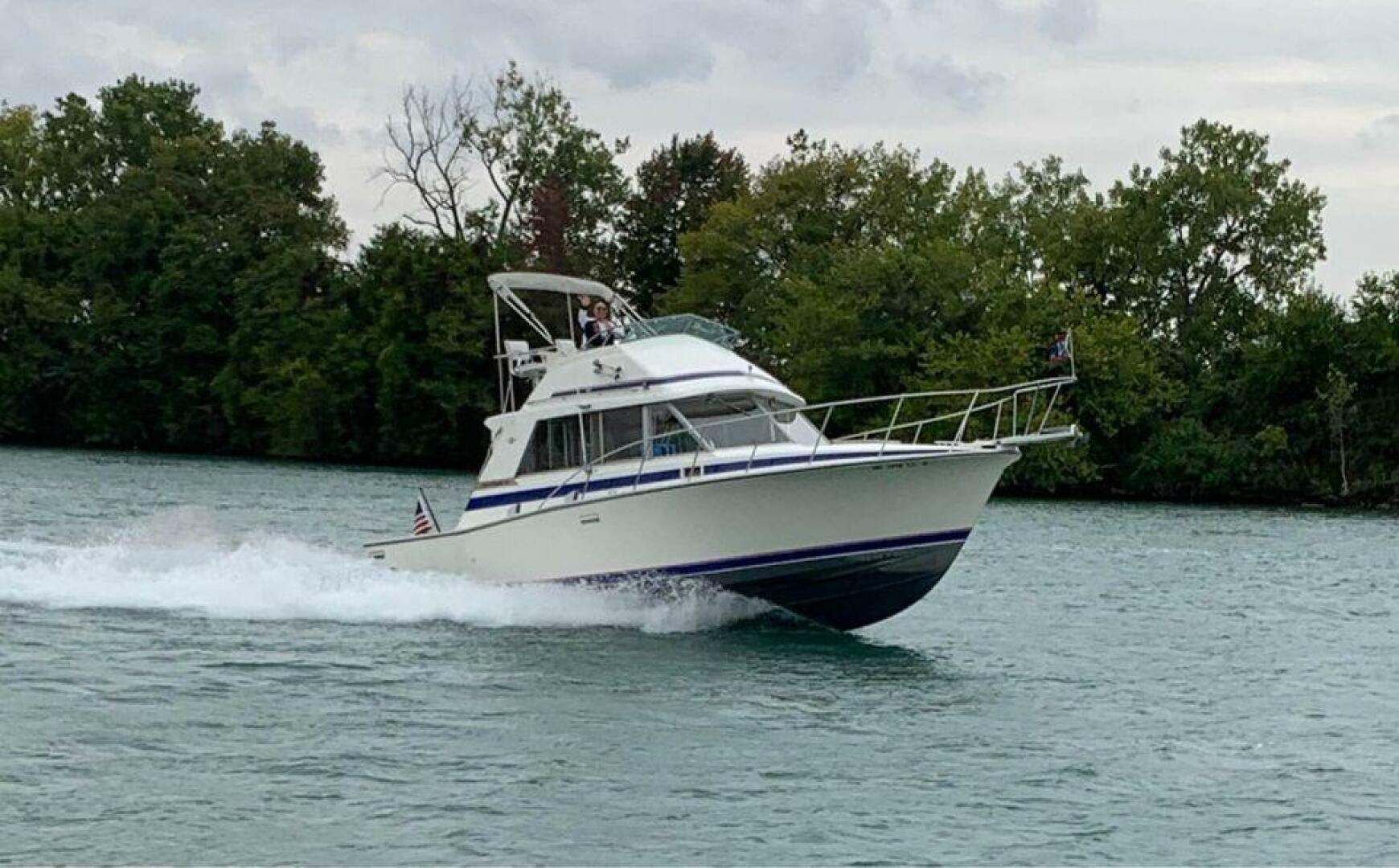Slide: The Image of Bertram 33 Flybridge Cruiser 1983 - 4438396