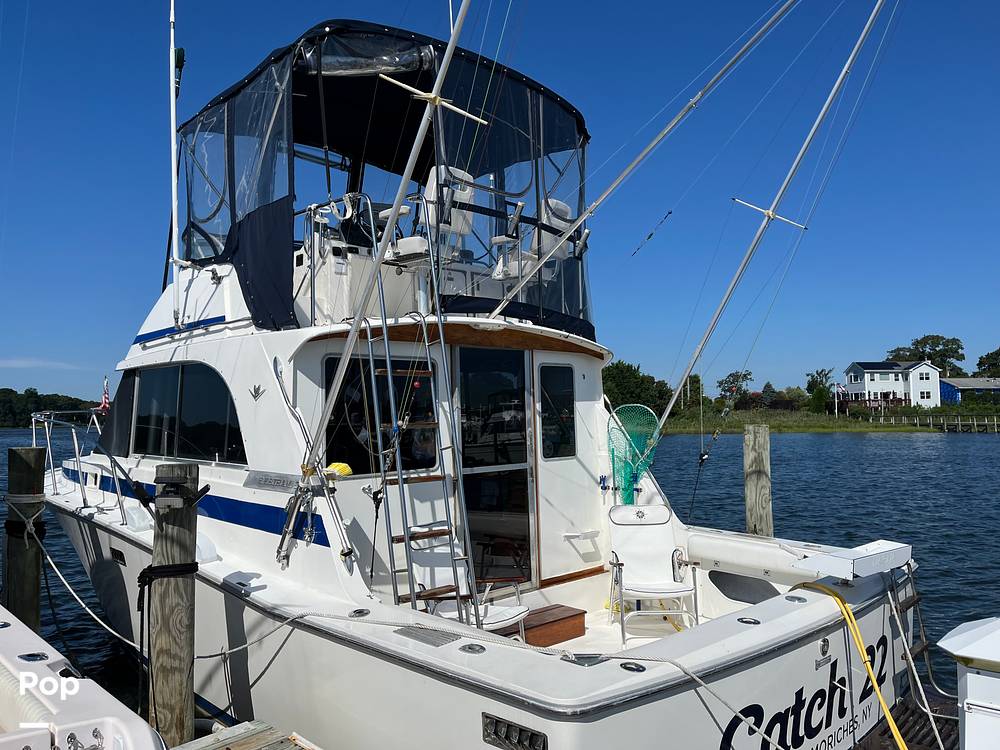 Slide: The Image of Bertram 33 SF 1984 - 15790913