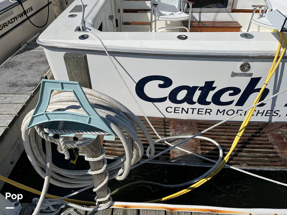 Slide: The Image of Bertram 33 SF 1984 - 15790968