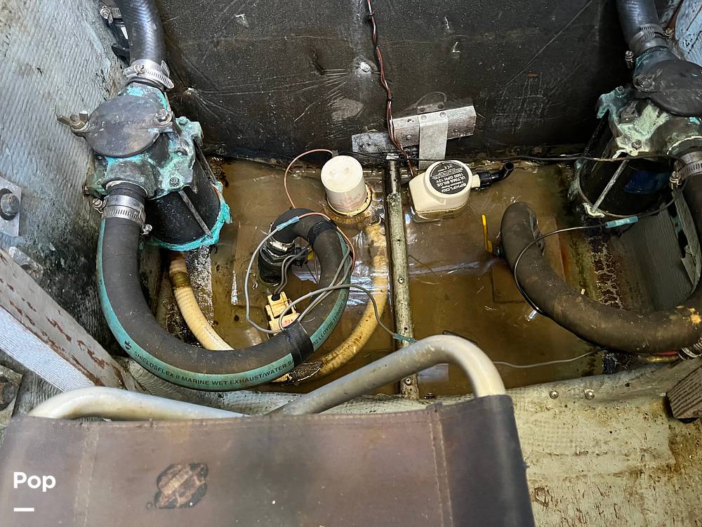 Slide: The Image of Bertram 33 SF 1984 - 15791042