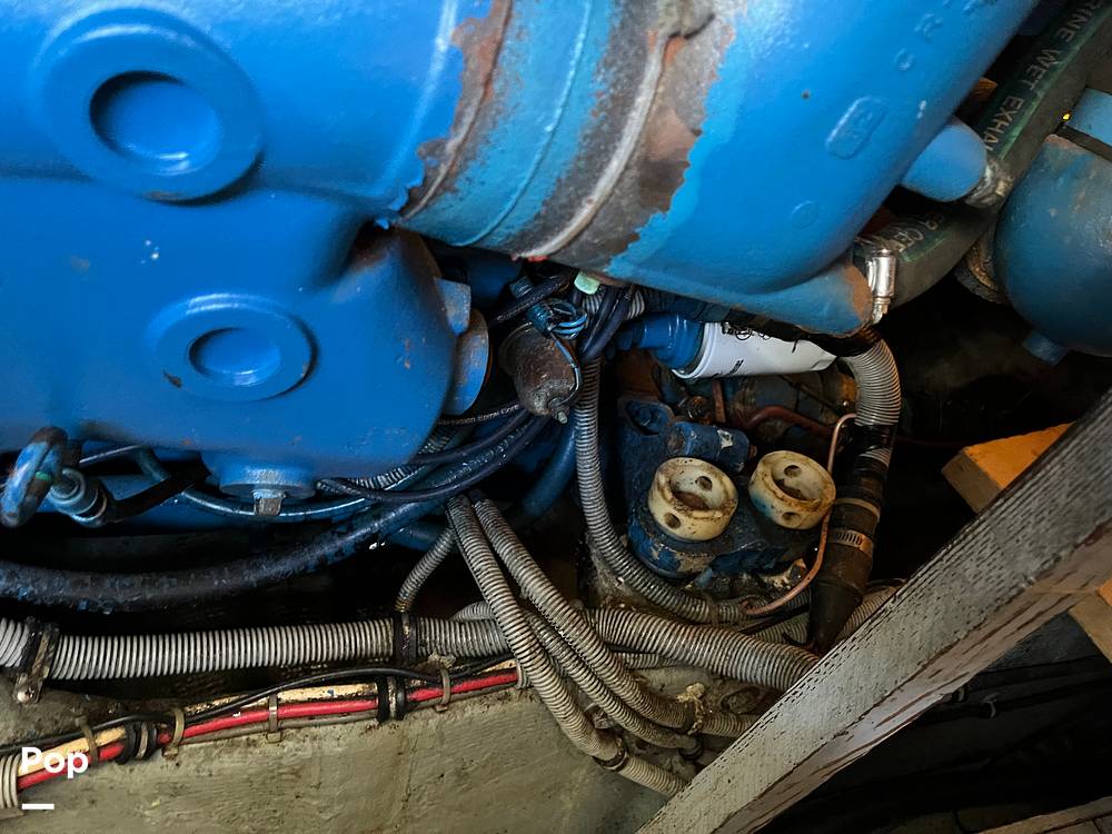 Slide: The Image of Bertram 33 SF 1984 - 15791047