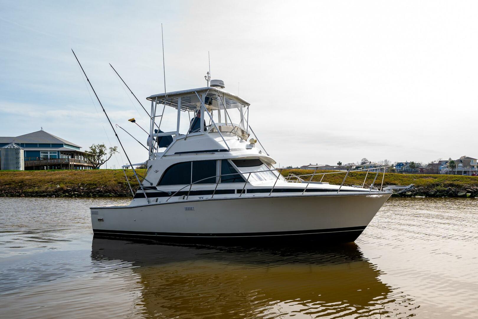 Slide: The Image of Bertram 33 Sport Fish 1984 - 5114964