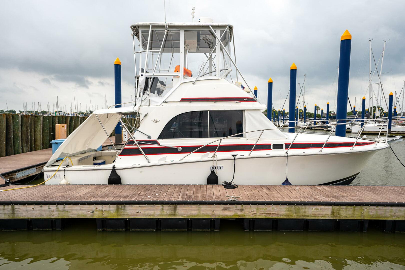Slide: The Image of Bertram 33 Sport Fish 1984 - 5114983