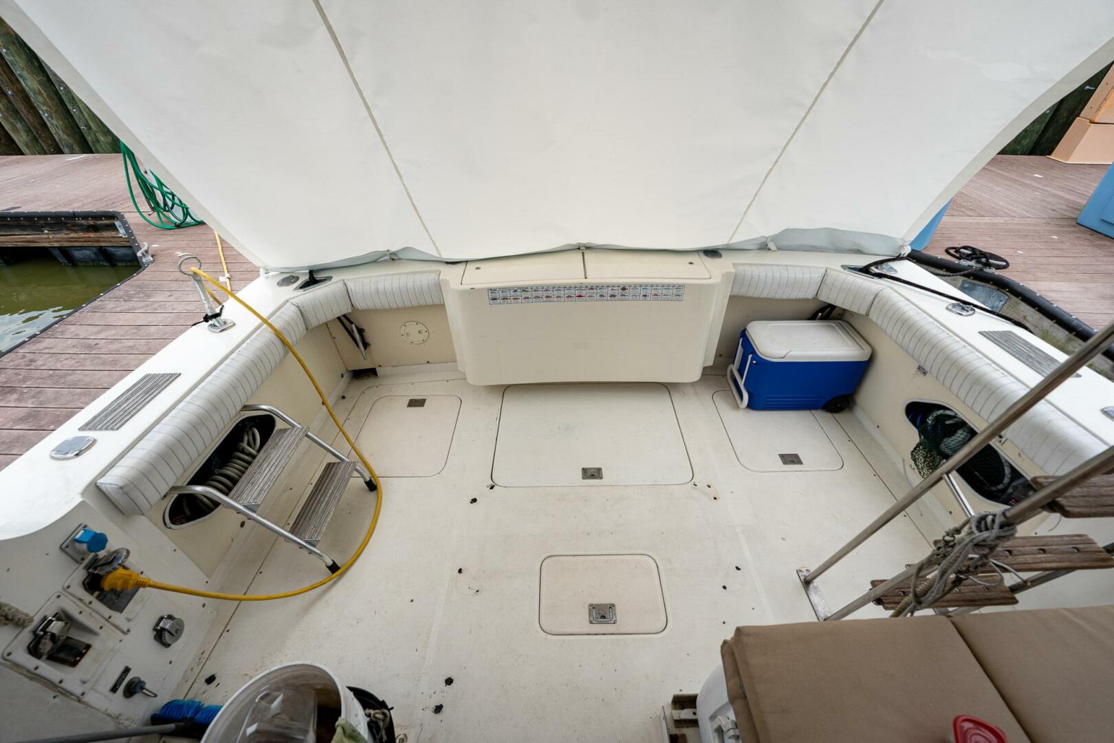 Slide: The Image of Bertram 33 Sport Fish 1984 - 5114988