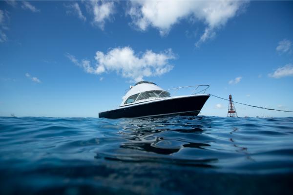 Slide: The Image of 2023 Bertram 35 Flybridge boat on open water under blue sky. - 19