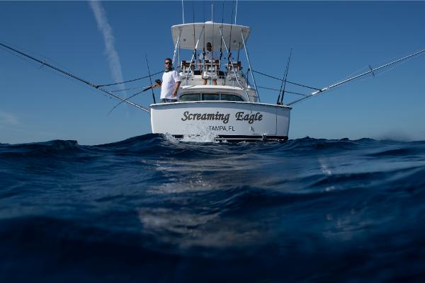 Slide: The Image of 2023 Bertram 35 Flybridge Screaming Eagle fishing boat on open water, Tampa, FL. - 33