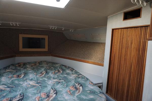 Slide: The Image of 1987 37 Bertram 37 Convertible RIDGEBACK Fwd Stateroom - 11