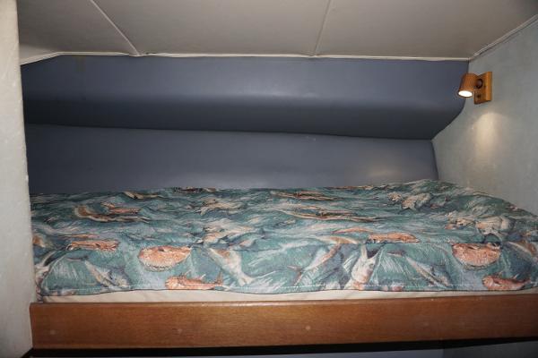 Slide: The Image of 1987 37 Bertram 37 Convertible RIDGEBACK Guest Stateroom - 12