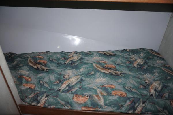 Slide: The Image of 1987 37 Bertram 37 Convertible RIDGEBACK Guest Stateroom - 13