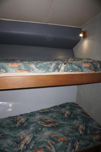 Slide: The Image of 1987 37 Bertram 37 Convertible RIDGEBACK Guest Stateroom - 14
