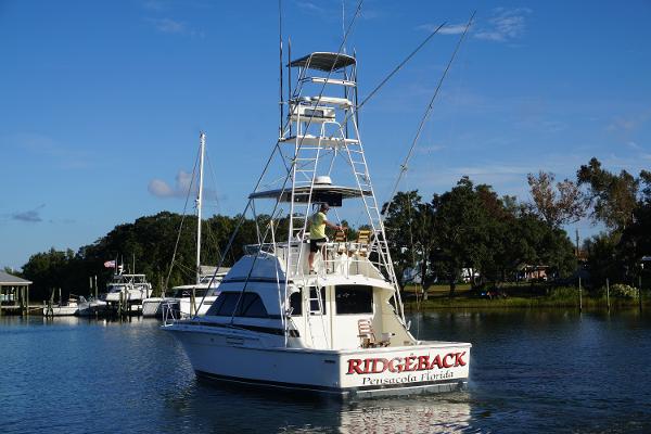 Slide: The Image of 1987 37 Bertram 37 Convertible RIDGEBACK Transom - 52