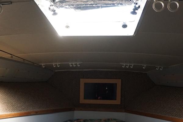 Slide: The Image of 1987 37 Bertram 37 Convertible RIDGEBACK Fwd Stateroom - 8