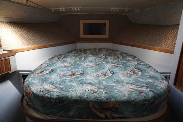 Slide: The Image of 1987 37 Bertram 37 Convertible RIDGEBACK Fwd Stateroom - 9