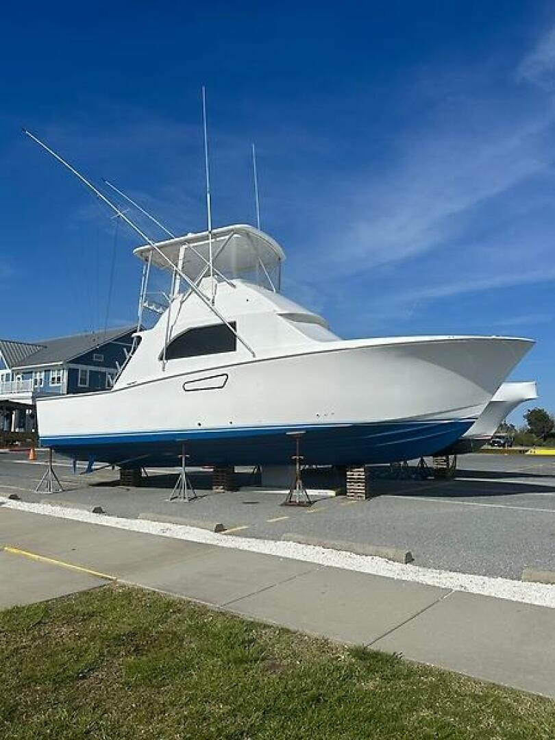 Slide: The Image of 0005318011 - 5594625