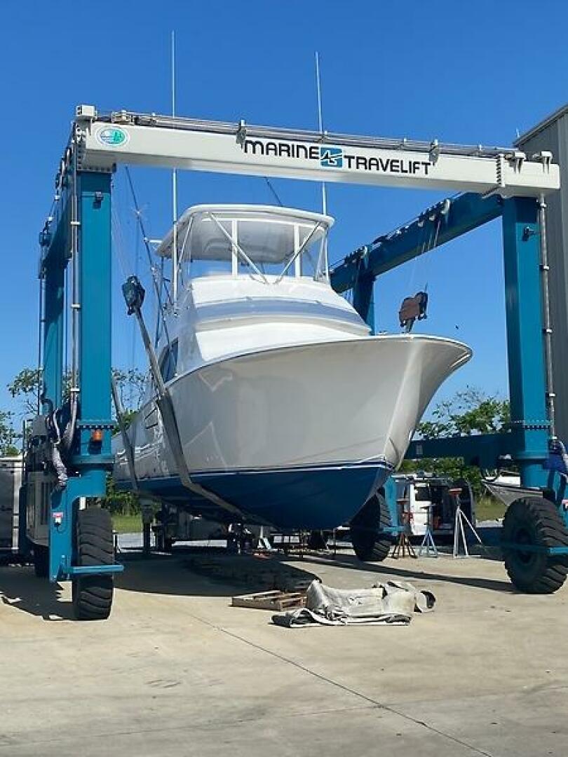 Slide: The Image of 0005318167 - 5594628