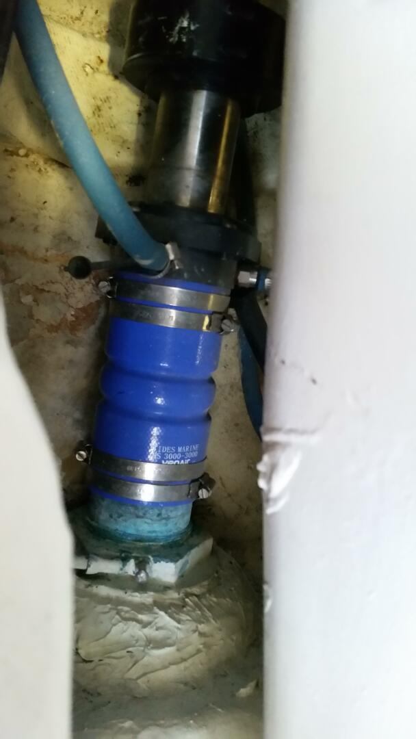 Slide: The Image of Bertram 39 2001 - 5317828