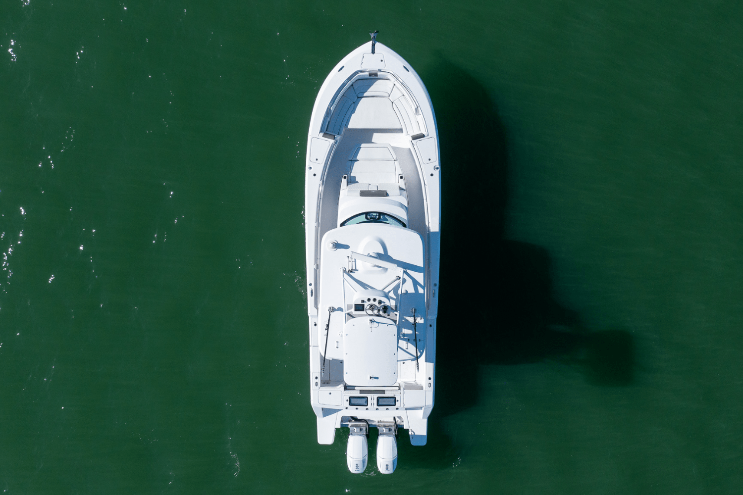 Slide: The Image of Bertram 39CC 2023 - 33