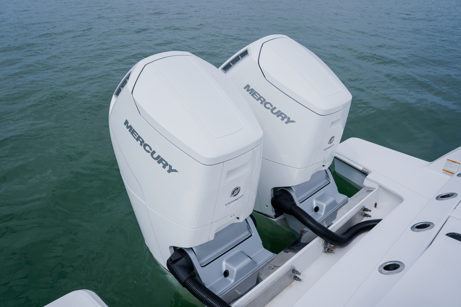 Slide: The Image of Bertram 39CC 2023 - 34