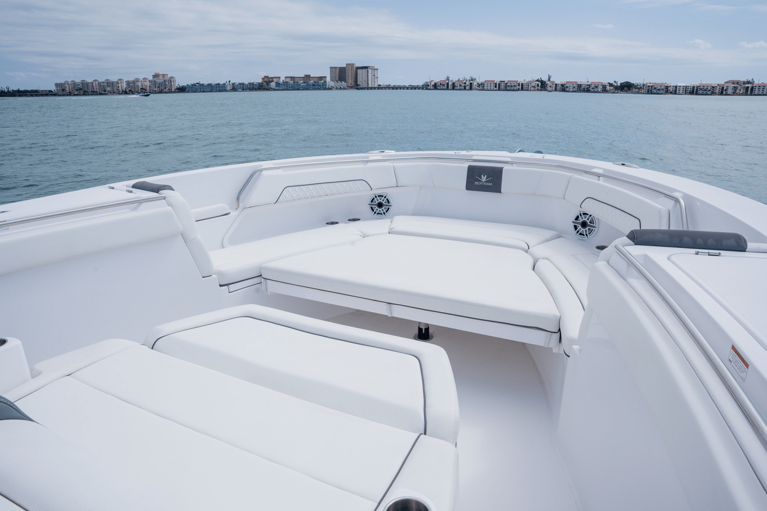 Slide: The Image of Bertram 39CC 2023 - 46