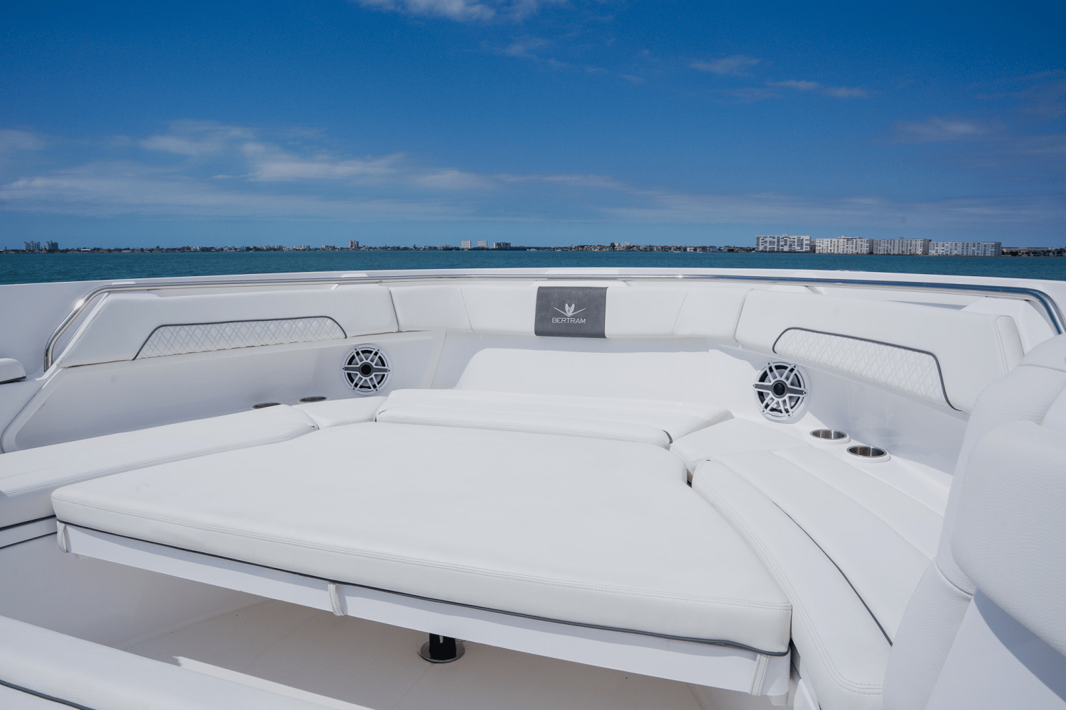 Slide: The Image of Bertram 39CC 2023 - 50